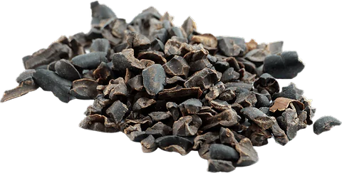 Eclats Cacao Cru en vrac BIO
